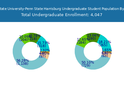 Pennsylvania State University-Penn State Harrisburg 2025 Undergraduate Enrollment by Gender and Race chart