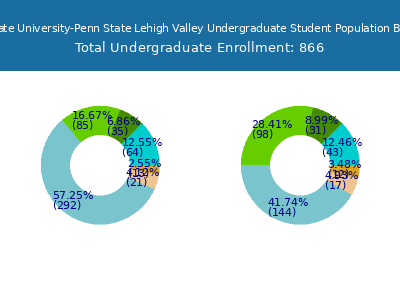 Pennsylvania State University-Penn State Lehigh Valley 2025 Undergraduate Enrollment by Gender and Race chart