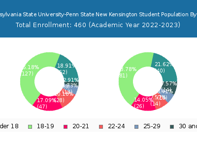 Pennsylvania State University-Penn State New Kensington 2023 Student Population Age Diversity Pie chart