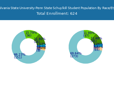 Pennsylvania State University-Penn State Schuylkill 2025 Student Population by Gender and Race chart