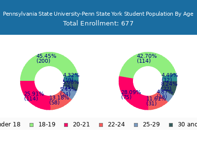 Pennsylvania State University-Penn State York 2024 Student Population Age Diversity Pie chart