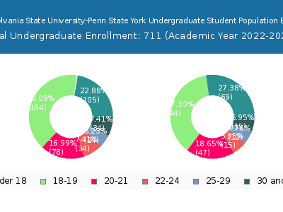 Pennsylvania State University-Penn State York 2023 Undergraduate Enrollment Age Diversity Pie chart