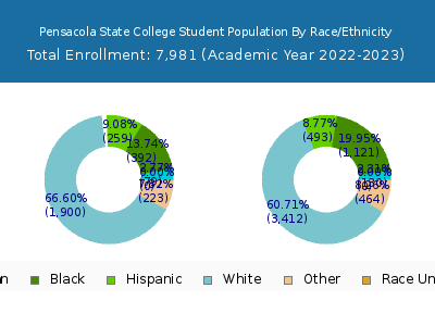 Pensacola State College 2023 Student Population by Gender and Race chart