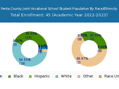 Penta County Joint Vocational School 2023 Student Population by Gender and Race chart