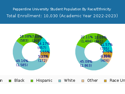 Pepperdine University 2023 Student Population by Gender and Race chart