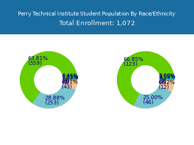 Perry Technical Institute 2025 Student Population by Gender and Race chart