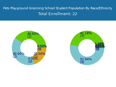 Pets Playground Grooming School 2025 Student Population by Gender and Race chart