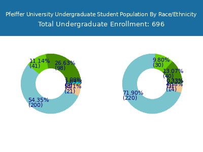 Pfeiffer University 2025 Undergraduate Enrollment by Gender and Race chart