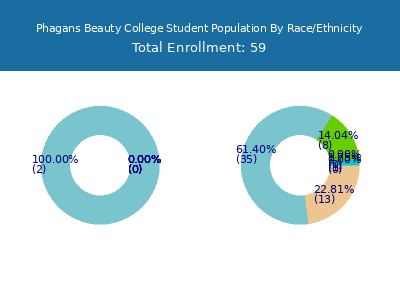 Phagans Beauty College 2025 Student Population by Gender and Race chart