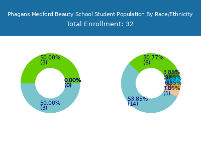 Phagans Medford Beauty School 2025 Student Population by Gender and Race chart
