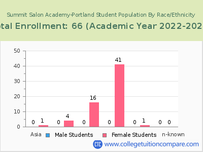 Summit Salon Academy-Portland 2023 Student Population by Gender and Race chart
