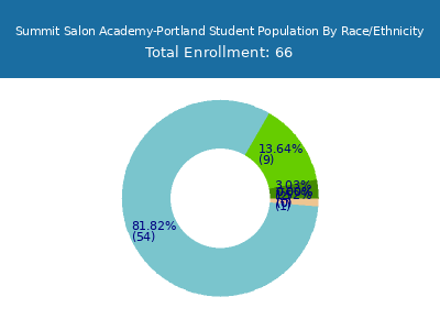 Summit Salon Academy-Portland 2025 Student Population by Gender and Race chart