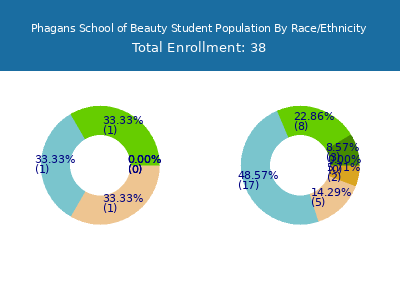 Phagans School of Beauty 2025 Student Population by Gender and Race chart