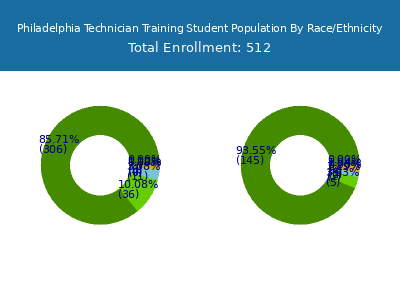 Philadelphia Technician Training 2025 Student Population by Gender and Race chart