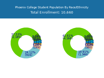 Phoenix College 2025 Student Population by Gender and Race chart