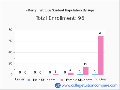 PiBerry Institute 2024 Student Population by Age chart