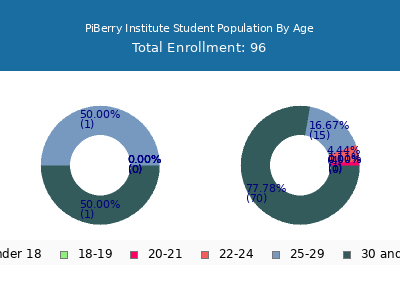 PiBerry Institute 2024 Student Population Age Diversity Pie chart