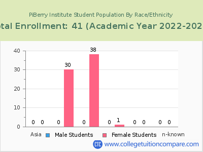 PiBerry Institute 2023 Student Population by Gender and Race chart