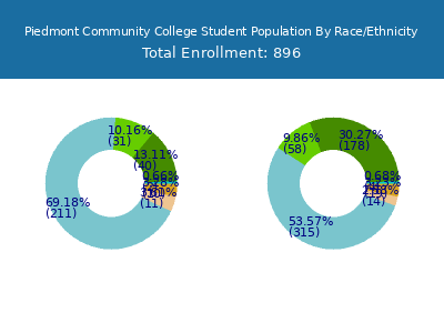 Piedmont Community College 2025 Student Population by Gender and Race chart