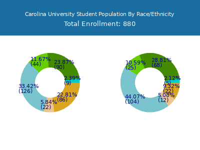 Carolina University 2025 Student Population by Gender and Race chart