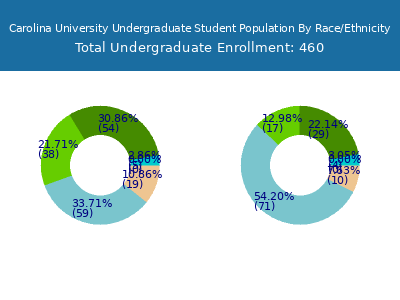 Carolina University 2025 Undergraduate Enrollment by Gender and Race chart