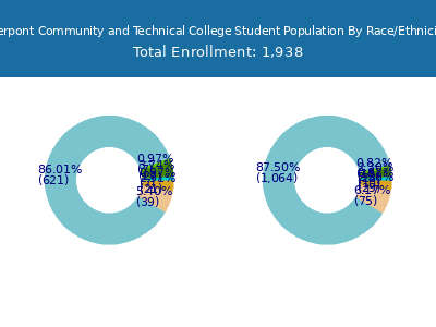 Pierpont Community and Technical College 2025 Student Population by Gender and Race chart