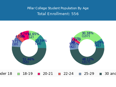 Pillar College 2024 Student Population Age Diversity Pie chart