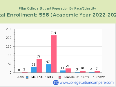 Pillar College 2023 Student Population by Gender and Race chart