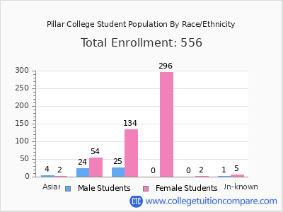 Pillar College 2025 Student Population by Gender and Race chart