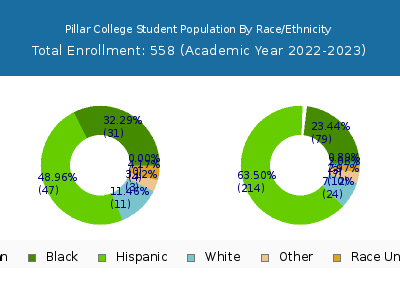 Pillar College 2023 Student Population by Gender and Race chart