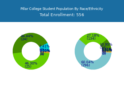 Pillar College 2025 Student Population by Gender and Race chart