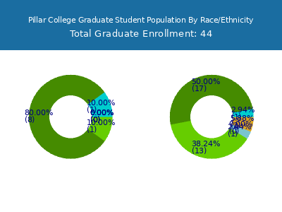 Pillar College 2025 Graduate Enrollment by Gender and Race chart