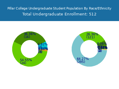 Pillar College 2025 Undergraduate Enrollment by Gender and Race chart