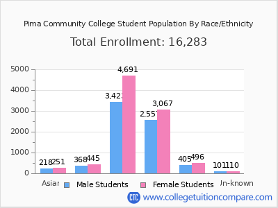 Pima Community College 2025 Student Population by Gender and Race chart