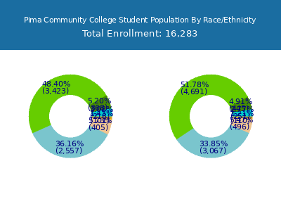 Pima Community College 2025 Student Population by Gender and Race chart