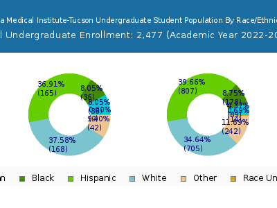 Pima Medical Institute-Tucson 2023 Undergraduate Enrollment by Gender and Race chart