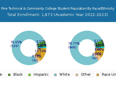 Pine Technical & Community College 2023 Student Population by Gender and Race chart