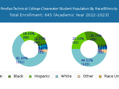 Pinellas Technical College-Clearwater 2023 Student Population by Gender and Race chart