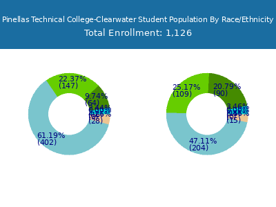 Pinellas Technical College-Clearwater 2025 Student Population by Gender and Race chart