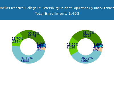 Pinellas Technical College-St. Petersburg 2025 Student Population by Gender and Race chart