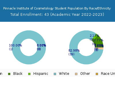 Pinnacle Institute of Cosmetology 2023 Student Population by Gender and Race chart