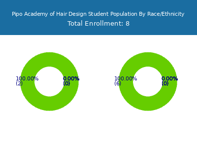 Pipo Academy of Hair Design 2025 Student Population by Gender and Race chart