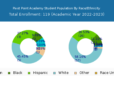 Pivot Point Academy 2023 Student Population by Gender and Race chart