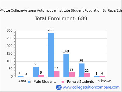 Miller-Motte College-Arizona Automotive Institute 2025 Student Population by Gender and Race chart