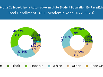 Miller-Motte College-Arizona Automotive Institute 2023 Student Population by Gender and Race chart