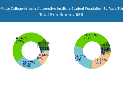 Miller-Motte College-Arizona Automotive Institute 2025 Student Population by Gender and Race chart