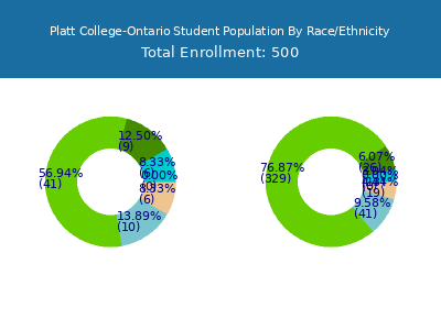Platt College-Ontario 2025 Student Population by Gender and Race chart