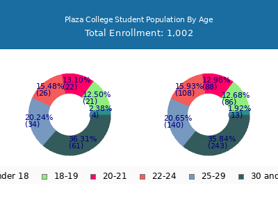 Plaza College 2024 Student Population Age Diversity Pie chart