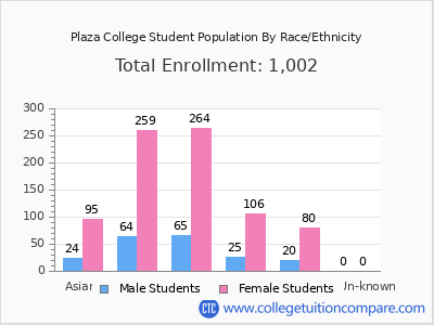 Plaza College 2025 Student Population by Gender and Race chart