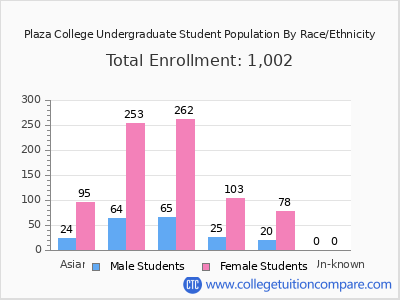 Plaza College 2025 Undergraduate Enrollment by Gender and Race chart